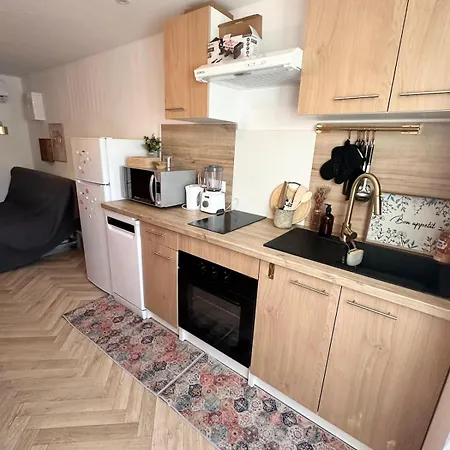 Du Paradis Apartment *
